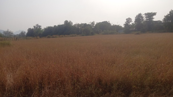 1900 Acre Agricultural/Farm Land for Sale in Vikramgad, Palghar
