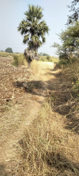 12 Acre Industrial Land / Plot for Sale in Wada, Palghar