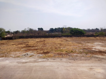 11 Acre Agricultural/Farm Land for Sale in Vikramgad, Palghar