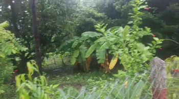 Property for sale in Kelwa, Palghar