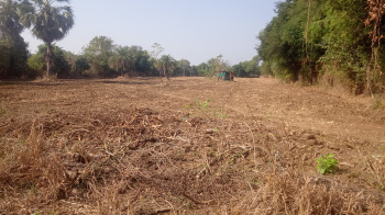 11 Guntha Residential Plot for Sale in Mahim Road, Palghar