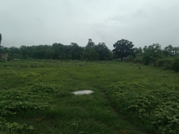 Property for sale in Talasari, Palghar