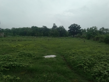 Property for sale in Talasari, Palghar