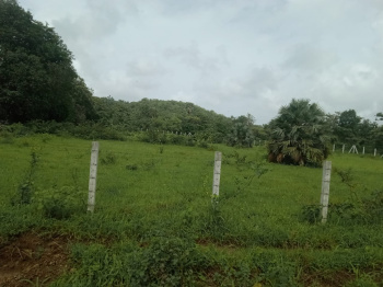 Agricultural/Farm Land for Sale in Umroli, Palghar (33 Guntha)