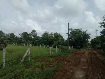 Property for sale in Saphale, Palghar