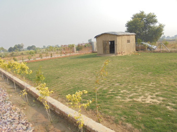 100 Sq. Yards Residential Plot For Sale In Jewar, Gautam Buddha Nagar