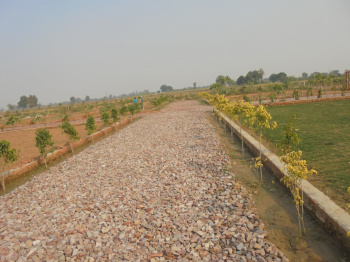 Property for sale in Jewar, Gautam Buddha Nagar