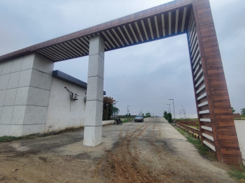 500 Sq. Yards Residential Plot For Sale In Palwal, Faridabad