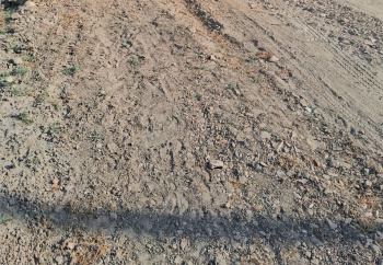 Property for sale in Diggi Road, Jaipur