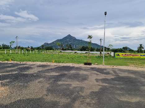 850 Sq.ft. Residential Plot for Sale in Vellore Road, Tiruvannamalai