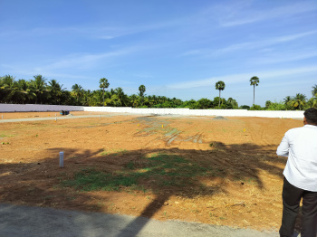 2039 Sq.ft. Residential Plot for Sale in Perundurai, Erode