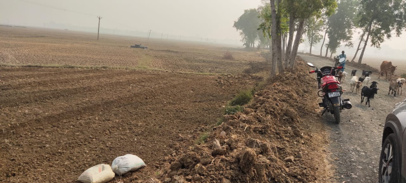 1 BIGHA TO 36 BIGHA AGRICULTURE LANDS FOR SALE IN HOOGHLY DISTRICT