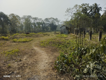 Property for sale in Madhya Madarihat, Jalpaiguri