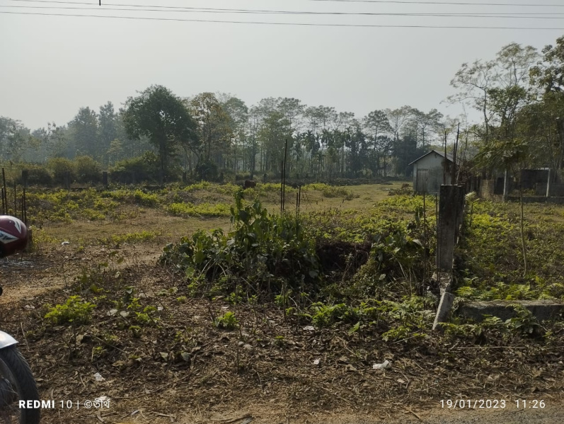 3.5 BIGHA COMMERCIAL LAND WITH ALL PERMISSION READY FOR SALE NEAR JOLDAPARA NATIONAL PARK