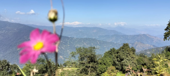 Property for sale in Kurseong, Darjeeling