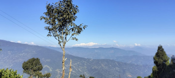 Property for sale in Kurseong, Darjeeling