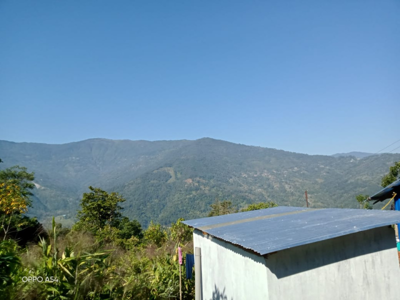 TOTAL 95 DECIMAL COMMERCIAL LAND FOR RESORT OR HOMESTAY IN SITONG, KALIMPONG