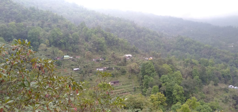 REGISTERED GEN LAND FOR COMMERCIAL USE OR HOMESTAY IN SITONG,DARJEELING
