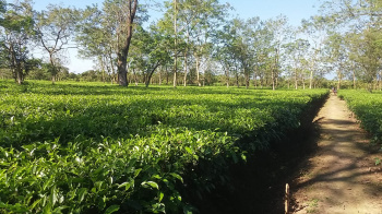 Property for sale in Malbazar, Jalpaiguri