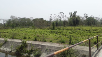 Property for sale in Madhya Madarihat, Jalpaiguri