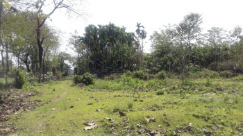 Property for sale in Madhya Madarihat, Jalpaiguri