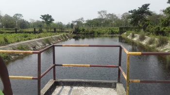 Property for sale in Madhya Madarihat, Jalpaiguri