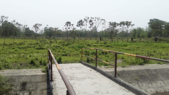 Property for sale in Madhya Madarihat, Jalpaiguri