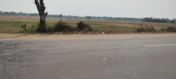 1.5 Bigha Highway Road Side commercial / industrial Land For sale in Boinchi (hooghly)