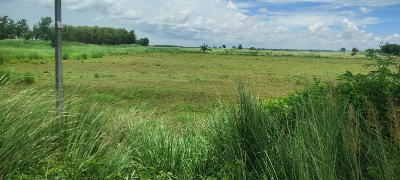 Agriculture Farm Land for sale in Boinchi Singer kon (Hooghly)