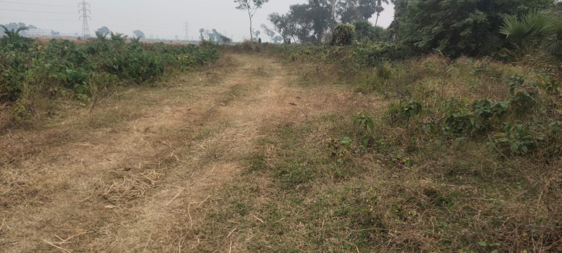 Agriculture Farm Land for sale in Boinchi (Hooghly)