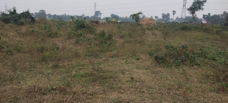 Agriculture Farm Land for sale in Boinchi (Hooghly)