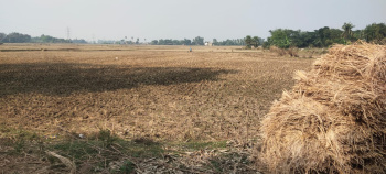 3.7 Bigha Agriculture Farm Land for sale in Debipur (east bardhaman)