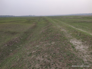 Property for sale in Dooars, Alipurduar