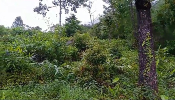 Property for sale in 8th Mile, Kalimpong