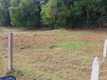 Property for sale in Purba Tajpur, Medinipur