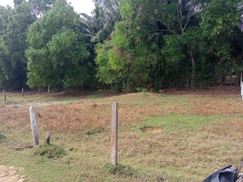 Property for sale in Purba Tajpur, Medinipur