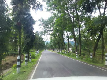Property for sale in Lataguri, Jalpaiguri