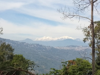 Property for sale in Upper Cart Road, Kalimpong