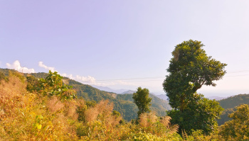 Property for sale in Upper Cart Road, Kalimpong