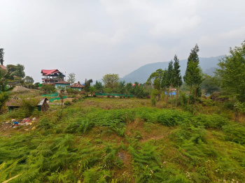 Beautiful Registered Mountain View Land for Sale in Kalimpong Near Lava