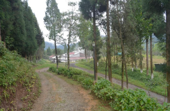 Property for sale in Lava, Kalimpong