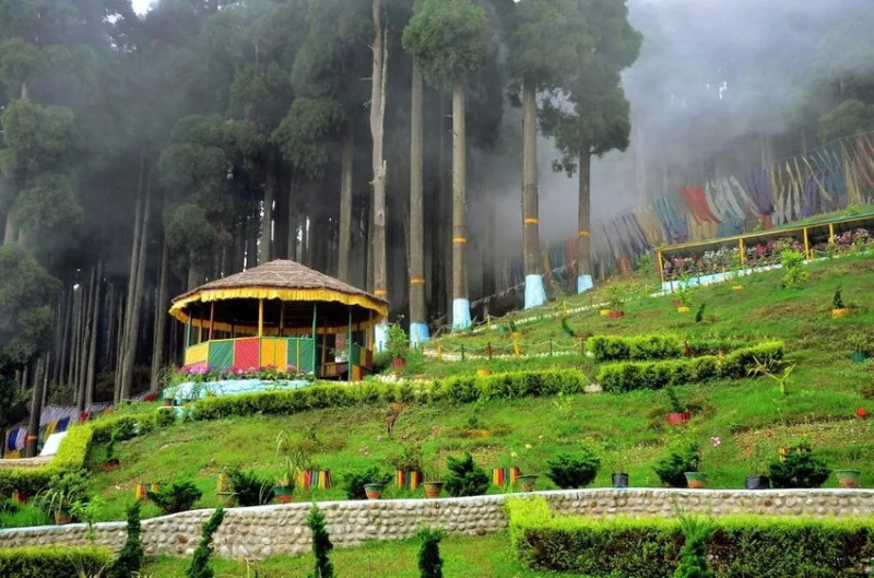 Small Registered Kanchanjungha facing Land for Sale in Kalimpong