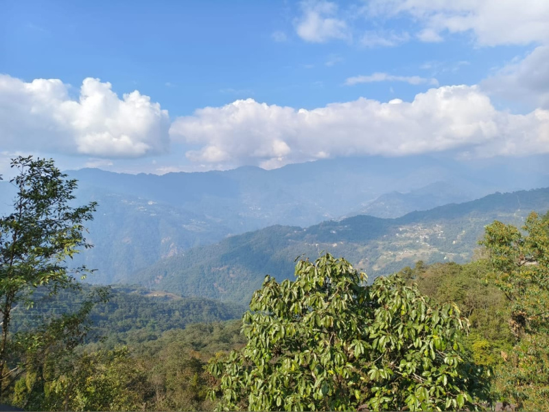 Small Registered Kanchanjungha facing Land for Sale in Kalimpong