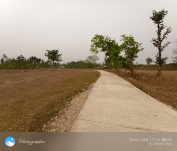 COMMERCIAL GENERAL LAND BETWEEN MOUNTAINS IN TORIBARI, DOOARS