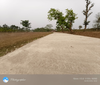 Property for sale in Dooars, Alipurduar