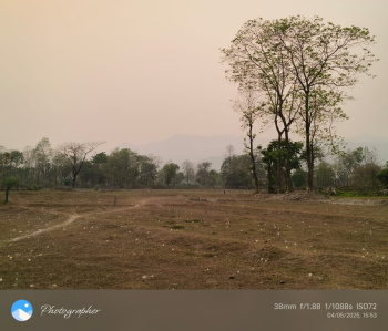 Property for sale in Dooars, Alipurduar