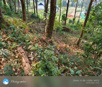 16 Decimal Registered kanchanjungha facing land for sale in kalimpong