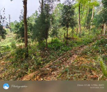 Property for sale in Lava, Kalimpong
