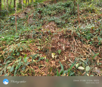 Property for sale in Lava, Kalimpong