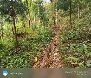 Property for sale in Lava, Kalimpong